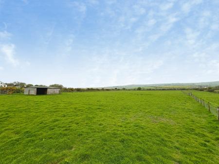 Media image 29
