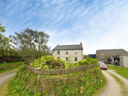 Media image 39
