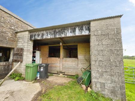 Media image 38