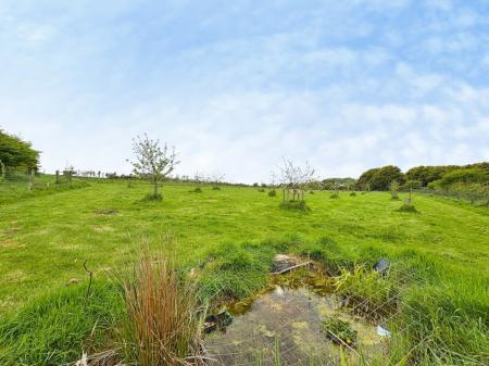 Media image 25