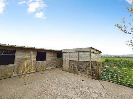 Media image 20