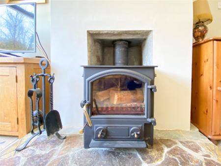 Media image 07