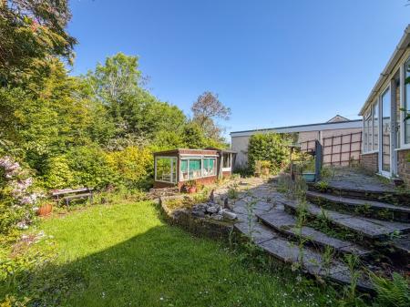 Media image 17