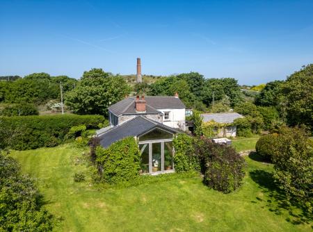 Media image 05