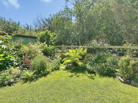 Media image 23