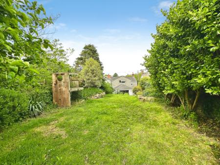 Media image 17