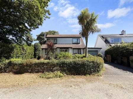 Media image 13