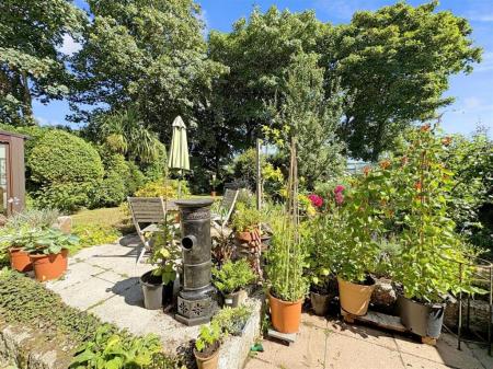 Media image 24