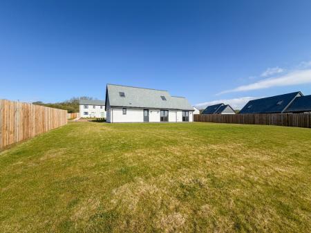 Media image 05