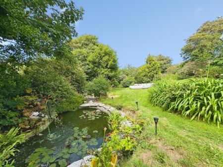 Media image 06