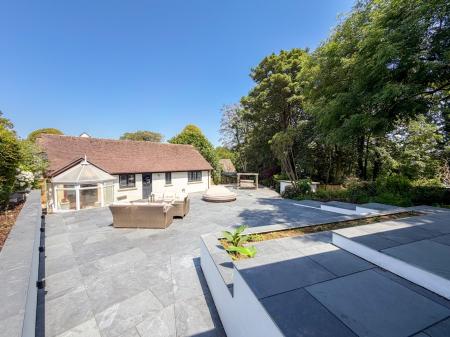 Media image 19