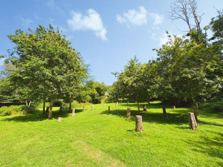 Media image 15
