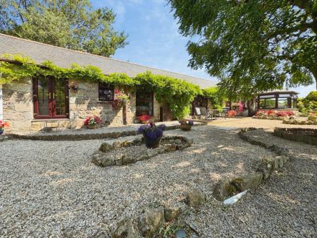 Media image 26