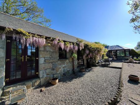 Media image 21