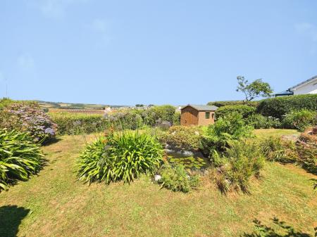 Media image 02