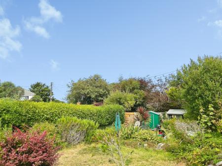 Media image 25