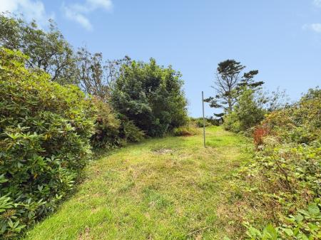 Media image 19