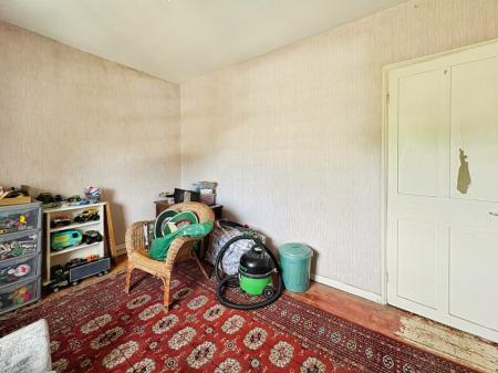 Media image 13