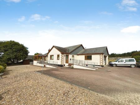 Media image 20