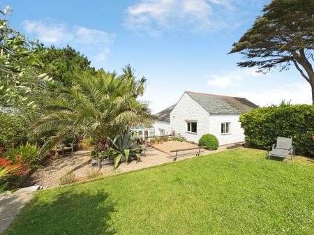Media image 31