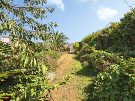 Media image 12