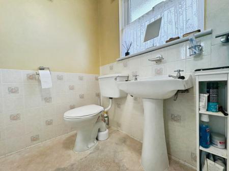 Media image 11