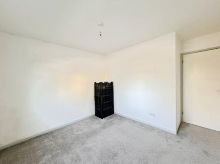 Media image 13