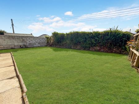 Media image 15
