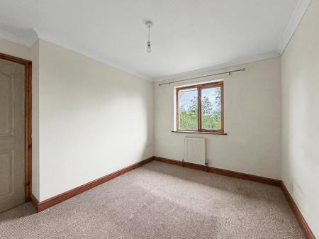 Media image 14