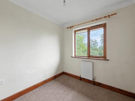 Media image 12