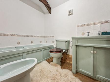 Media image 17
