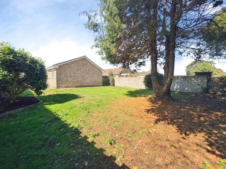 Media image 14