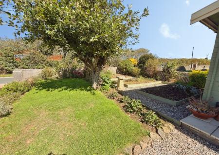 Media image 22