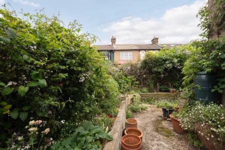 Media image 13