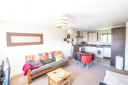 Kitchen/Living/Diner