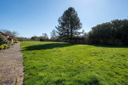 Communal Grounds