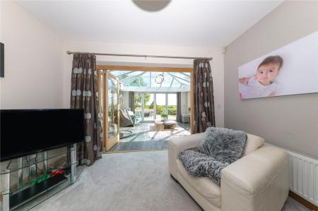 Lounge Into Orangrey