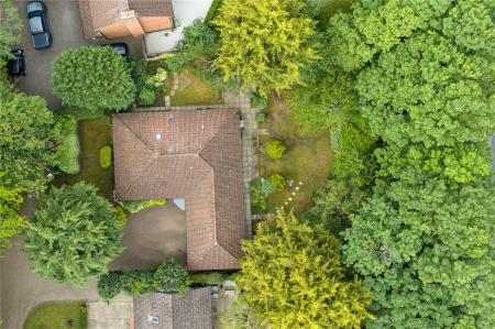 Birds Eye View