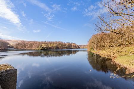 Ryburn Dam Close By