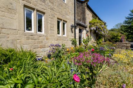 Flower Beds