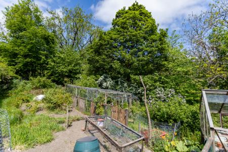 Veg Patch