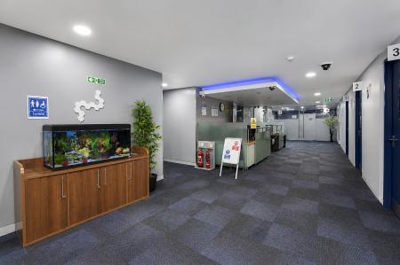 Media image 02