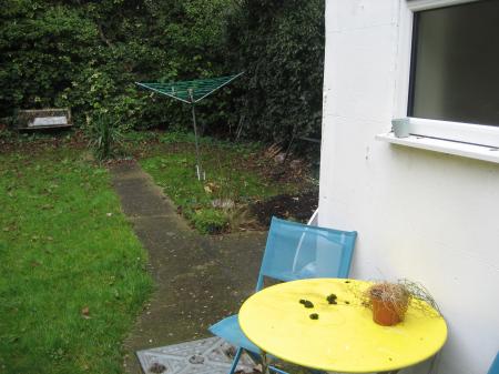 Rear garden