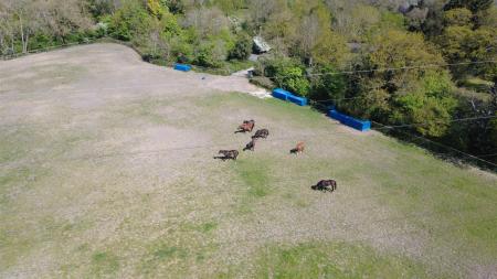 dji_fly_20260423_112014_581_1776939910070_aeb.jpeg