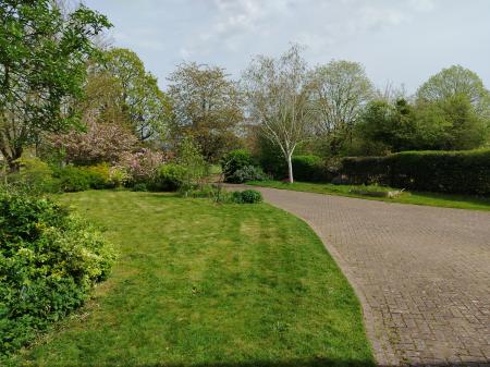 Photo 35