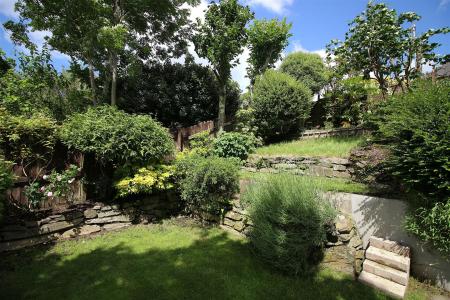 SIDE GARDEN