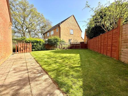 garden 4.jpg