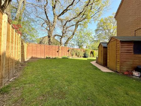 garden 2.jpg