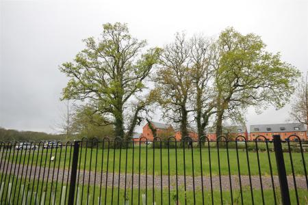 IMG_5780.JPG