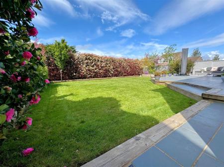 garden.jpg